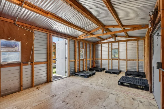 a view of a forest with trees in the background