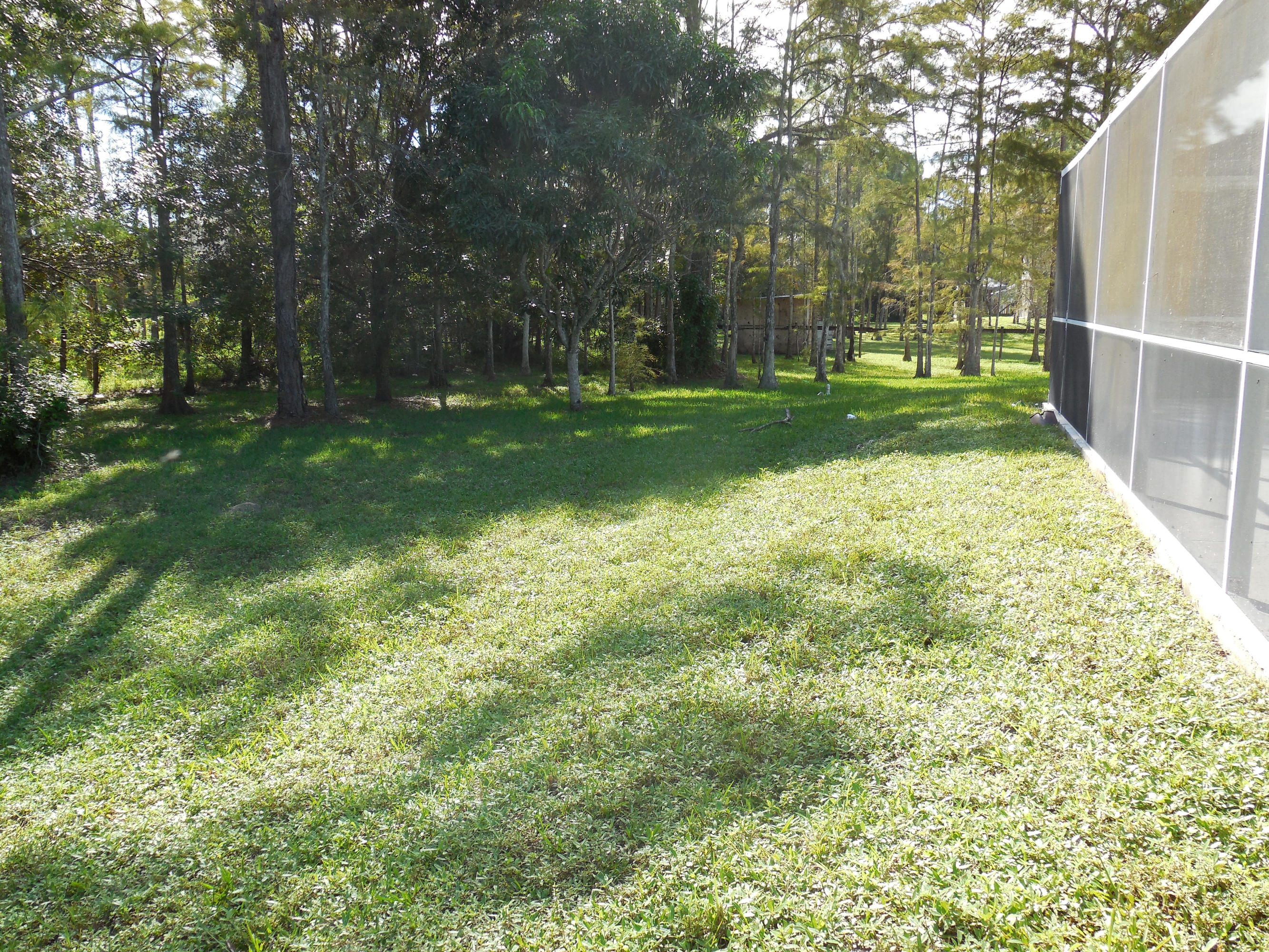 17338 31st Road North Loxahatchee, FL 33470 - Photo 36 of 38 back yard