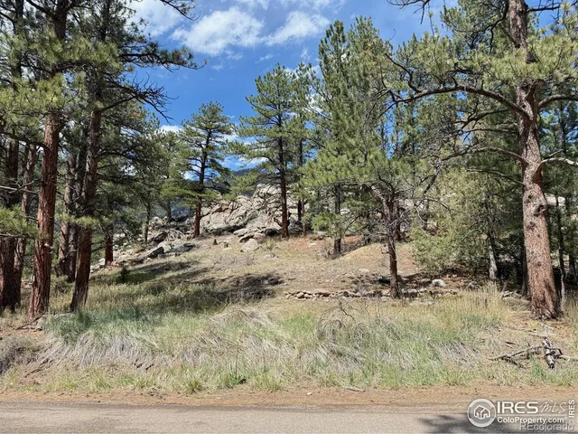 a close up of a plant