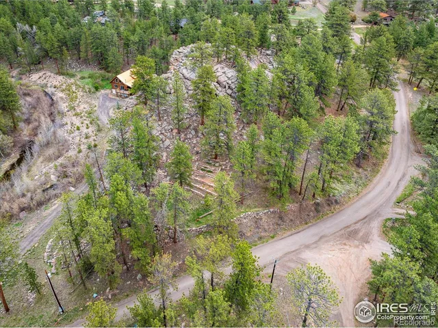 a couple of flower plants sitting in a garden