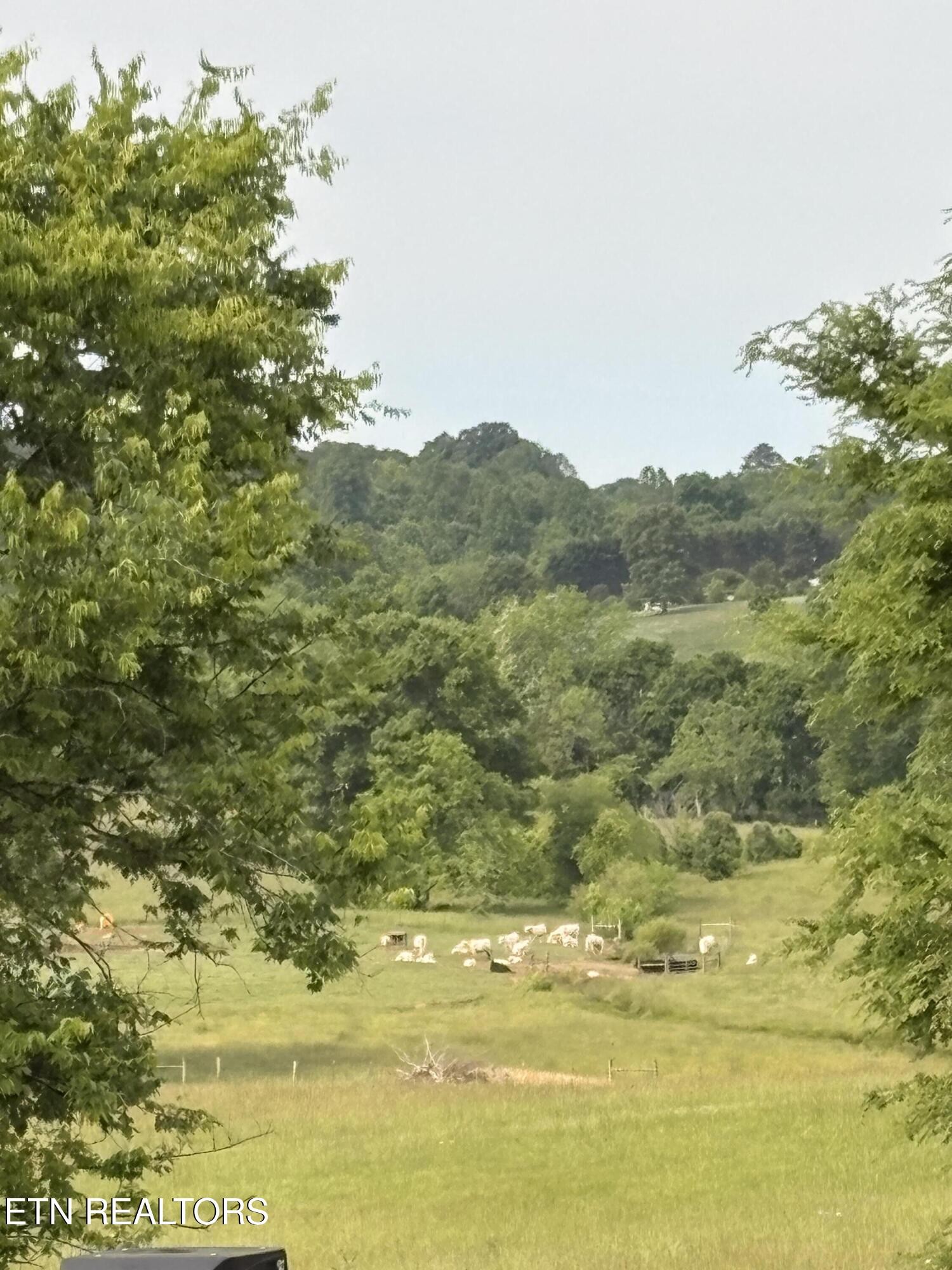 449 Foss Road Maryville, TN 37801 - Photo 44 of 49 a view of ocean