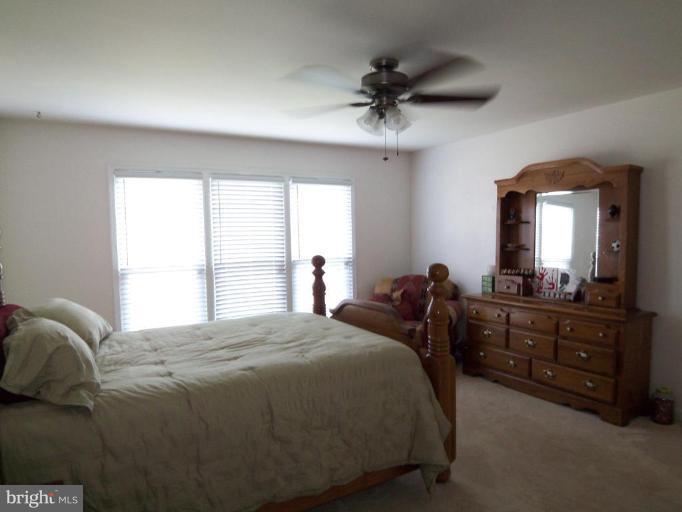 5 Leamington Road Fredericksburg, VA 22406 - Photo 11 of 15 LOTS OF LIGHT IN THIS MASTER!