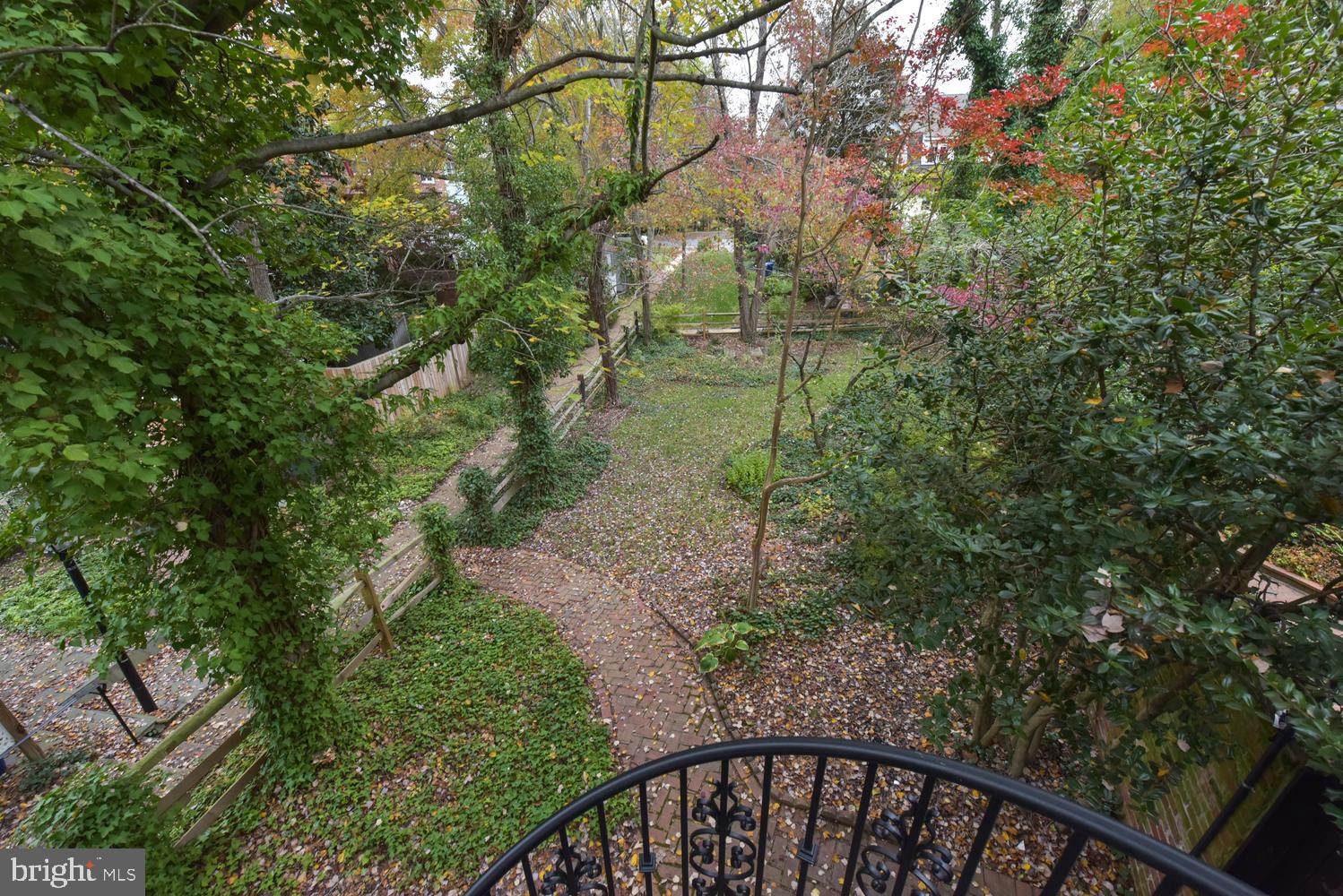 6307 Fort Hunt Road Alexandria, VA 22307 - Photo 54 of 58 View of yard from solarium