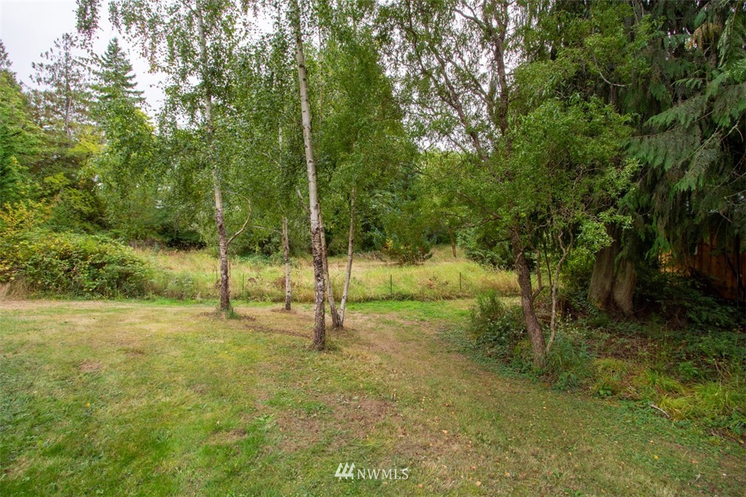132 Brush Plant Loop Road Quilcene, WA 98376 - Photo 22 of 36
