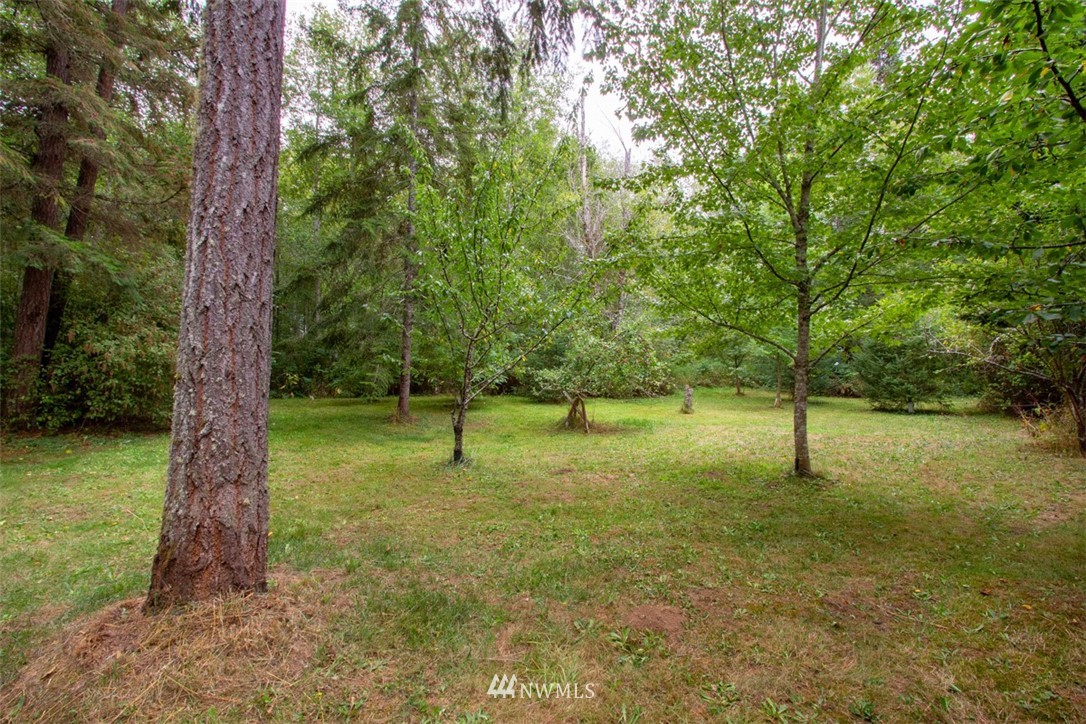 132 Brush Plant Loop Road Quilcene, WA 98376 - Photo 24 of 36
