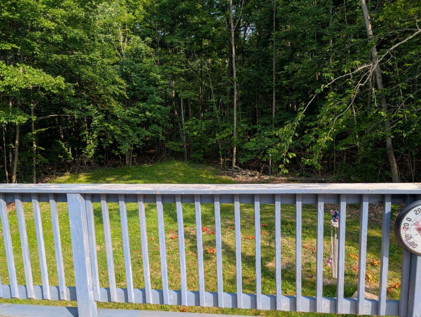 2878 East Spruce Road Spruce, MI 48762 - Photo 18 of 36 VIEW FROM DECK