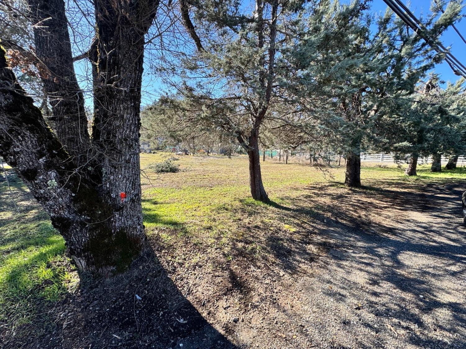 0 Pleasant Valley Road Placerville, CA 95667 - Photo 1 of 1 Gallery Image 1