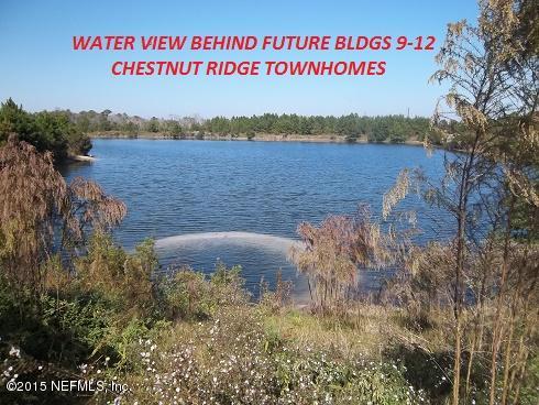 3183 Chestnut Ridge Way, Unit 19D Orange Park, FL 32065 - Photo 8 of 13 Chestnut Ridge - Future Waterfront Site