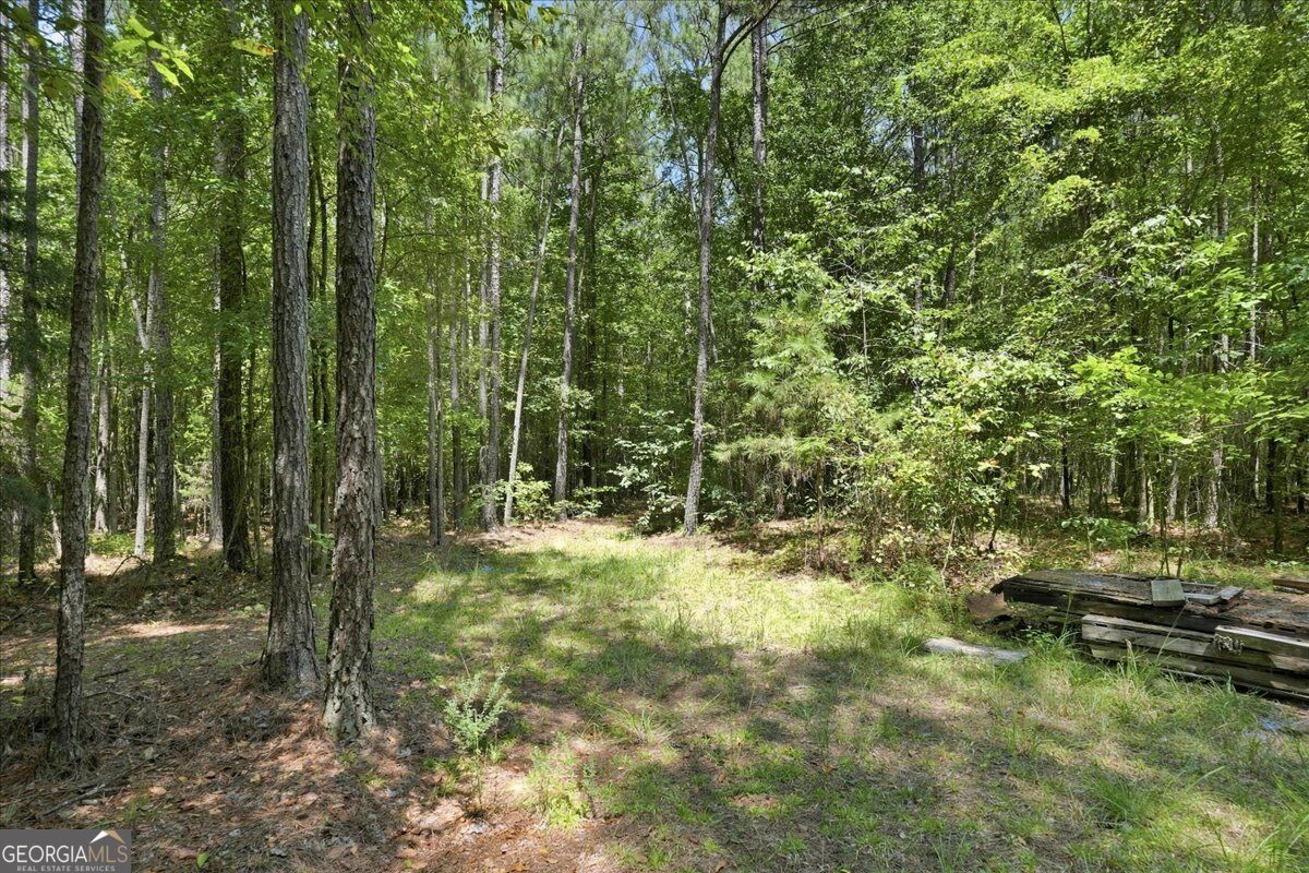 0 Cherokee Road Elberton, GA 30635 - Photo 3 of 14 Gallery Image 3