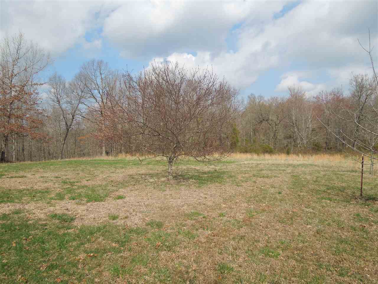 1767 Fisher Ridge Road Horse Cave, KY 42749 - Photo 12 of 34 Gallery Image 12
