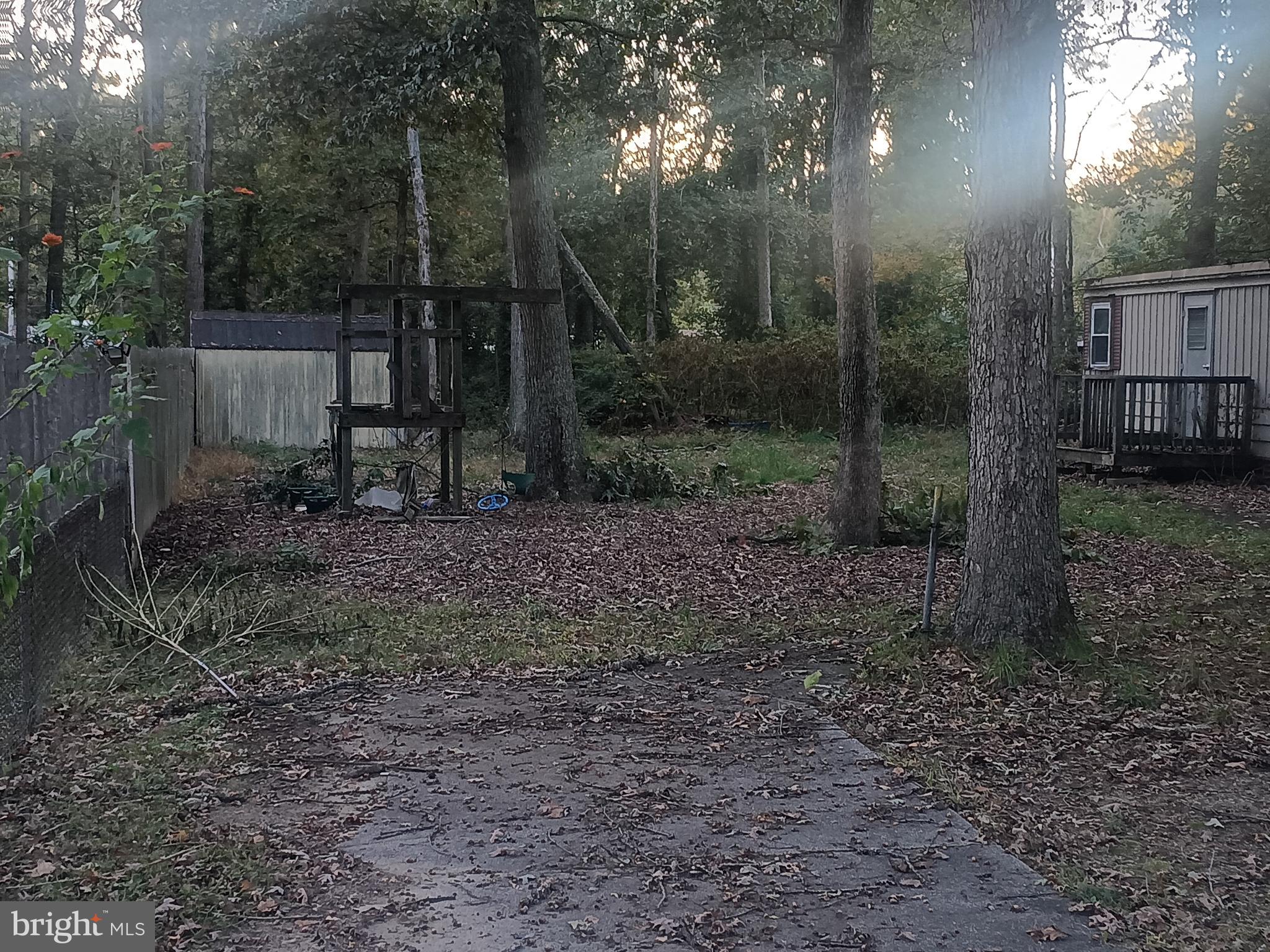 405 Daffodil Road Millville, NJ 08332 - Photo 3 of 10 a view of a forest that has large trees
