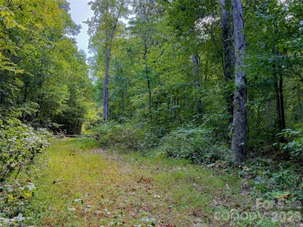 $35,000 | 99999 High Top Mountain Road, Unit LOT 2, Leicester, NC 28748