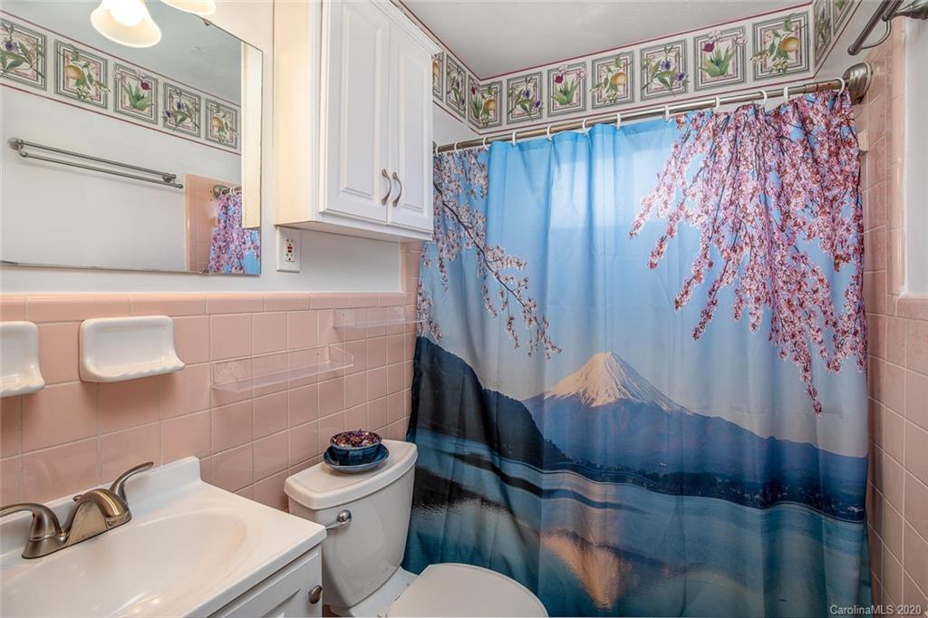 183 Brevard Road Asheville, NC 28806 - Photo 15 of 22 Gallery Image 15
