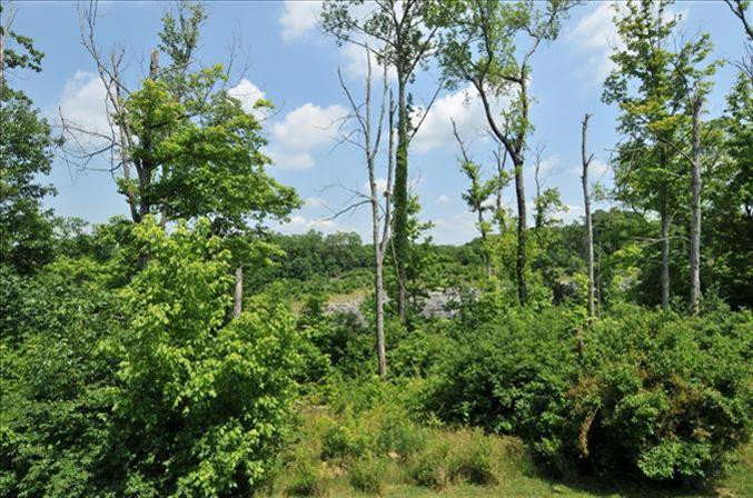 2251 Custer Lane Covington, KY 41017 - Photo 3 of 25