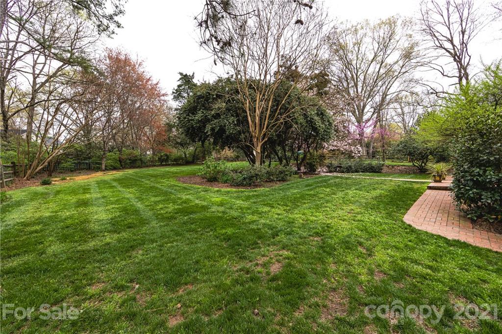 3229 Colony Road Charlotte, NC 28211 - Photo 36 of 44 a view of a garden