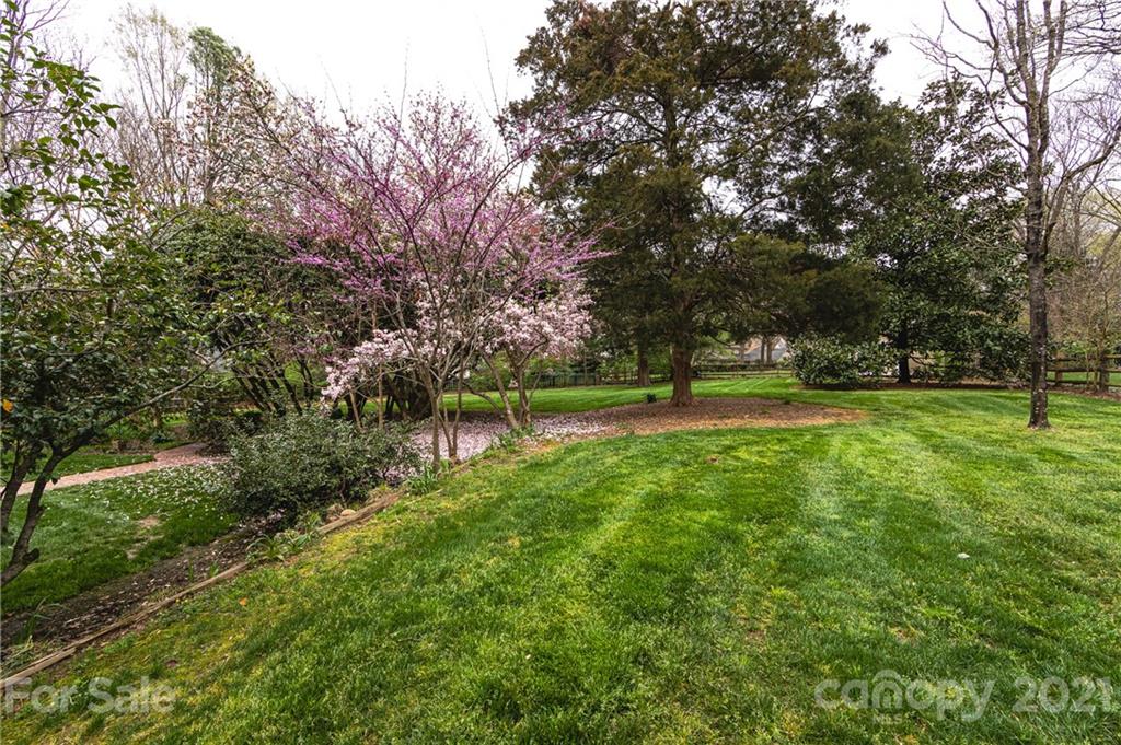 3229 Colony Road Charlotte, NC 28211 - Photo 42 of 44 a view of a park with large trees