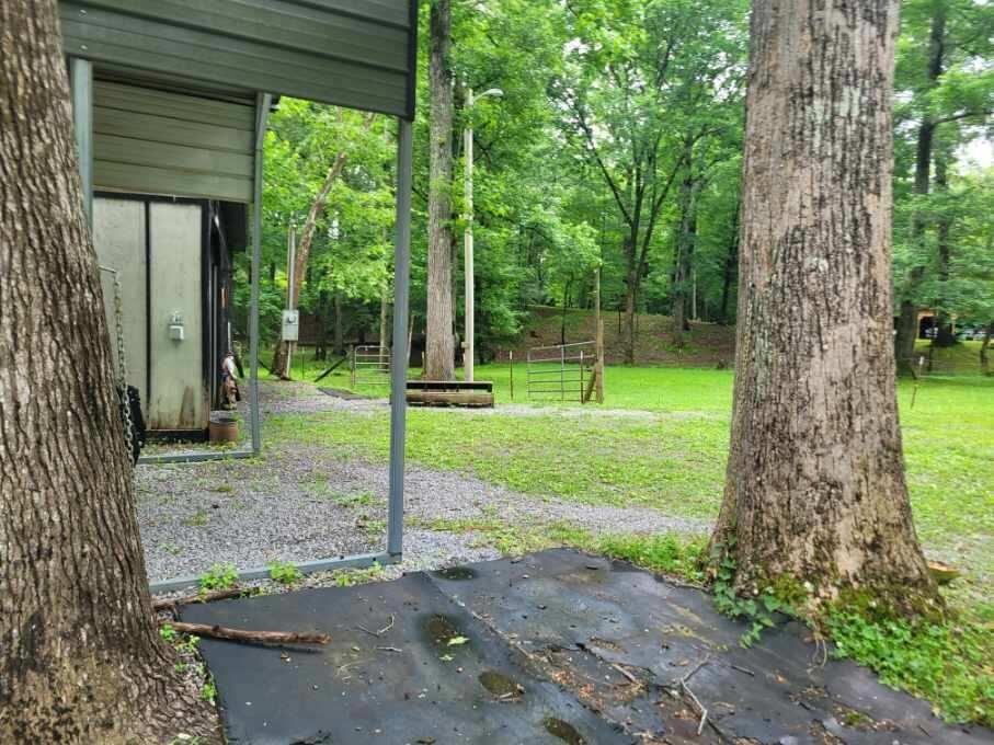 636 Bell Harrison Road Evensville, TN 37332 - Photo 35 of 36 Gallery Image 35