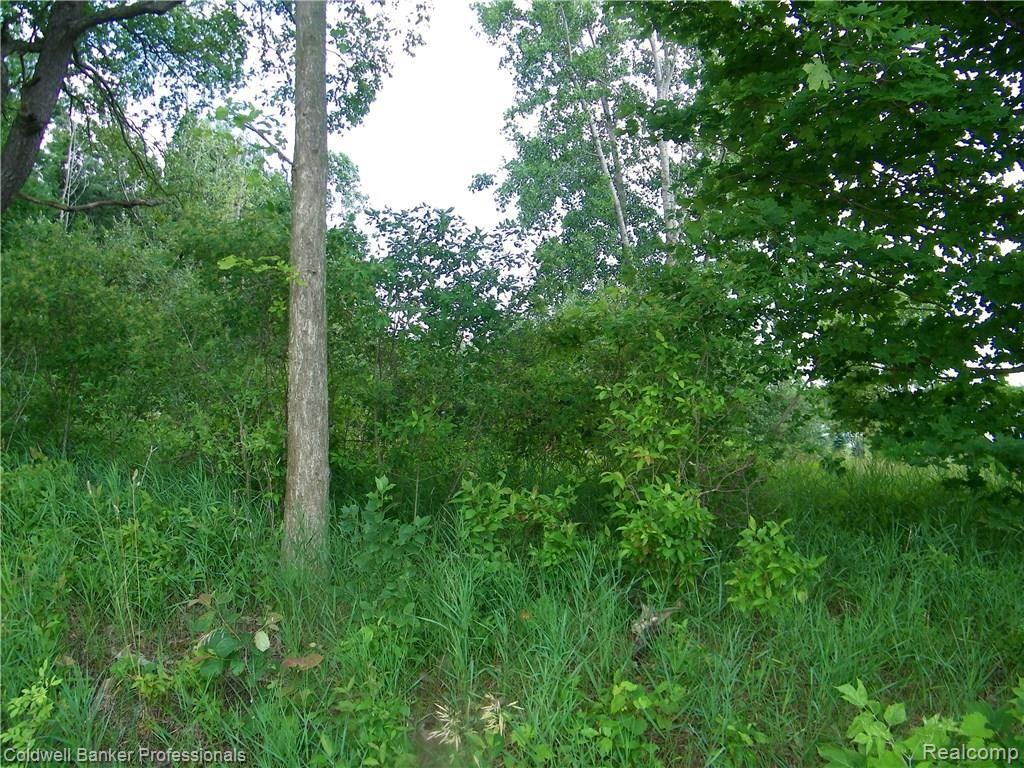 2 Martus Road North Branch, MI 48461 - Photo 7 of 8