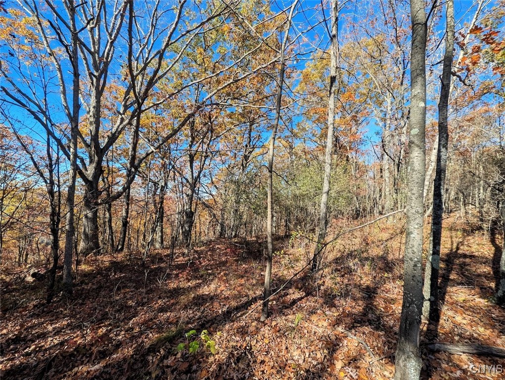 3223 County Route 2 Addison, NY 14801 - Photo 40 of 50