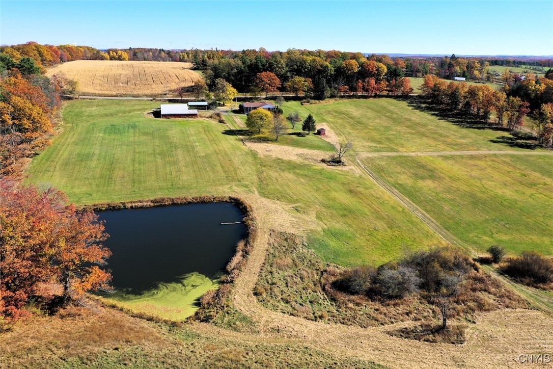 3223 County Route 2 Addison, NY 14801 - Photo 4 of 50