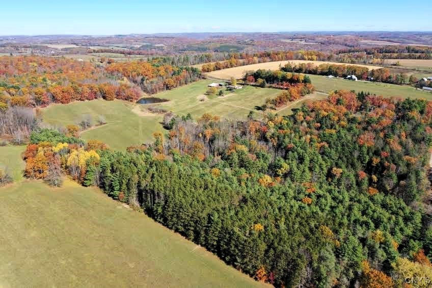 3223 County Route 2 Addison, NY 14801 - Photo 45 of 50