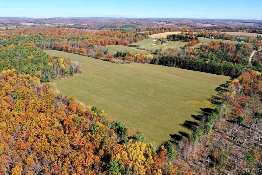 3223 County Route 2 Addison, NY 14801 - Photo 46 of 50