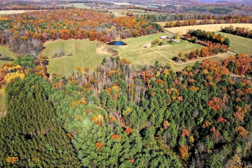 3223 County Route 2 Addison, NY 14801 - Photo 48 of 50