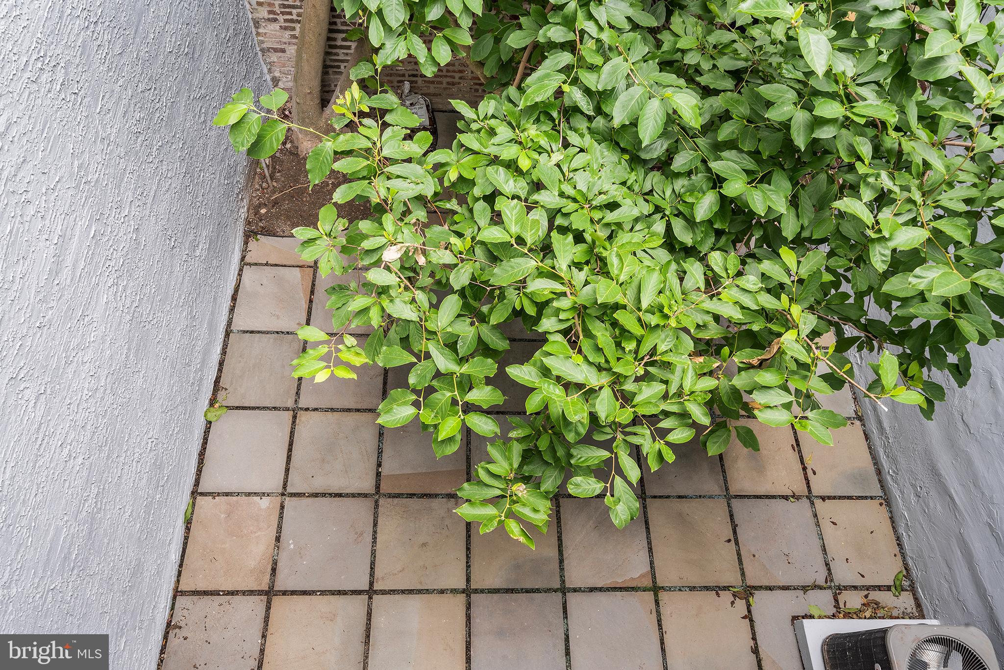 1932 Pine Street Philadelphia, PA 19103 - Photo 10 of 31