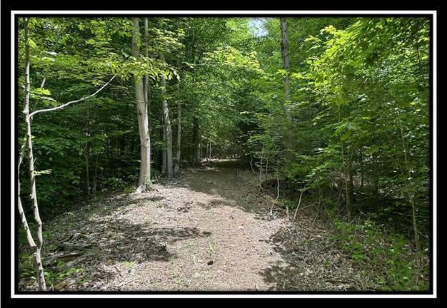 167 Weaver Road, Unit TRACT A) Chillicothe, OH 45601 - Photo 5 of 45 image005