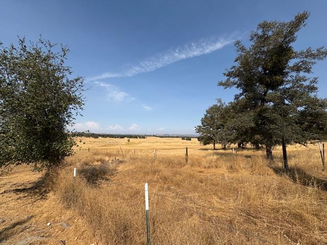 4620 Roadrunner Drive Ione, CA 95640 - Photo 14 of 15