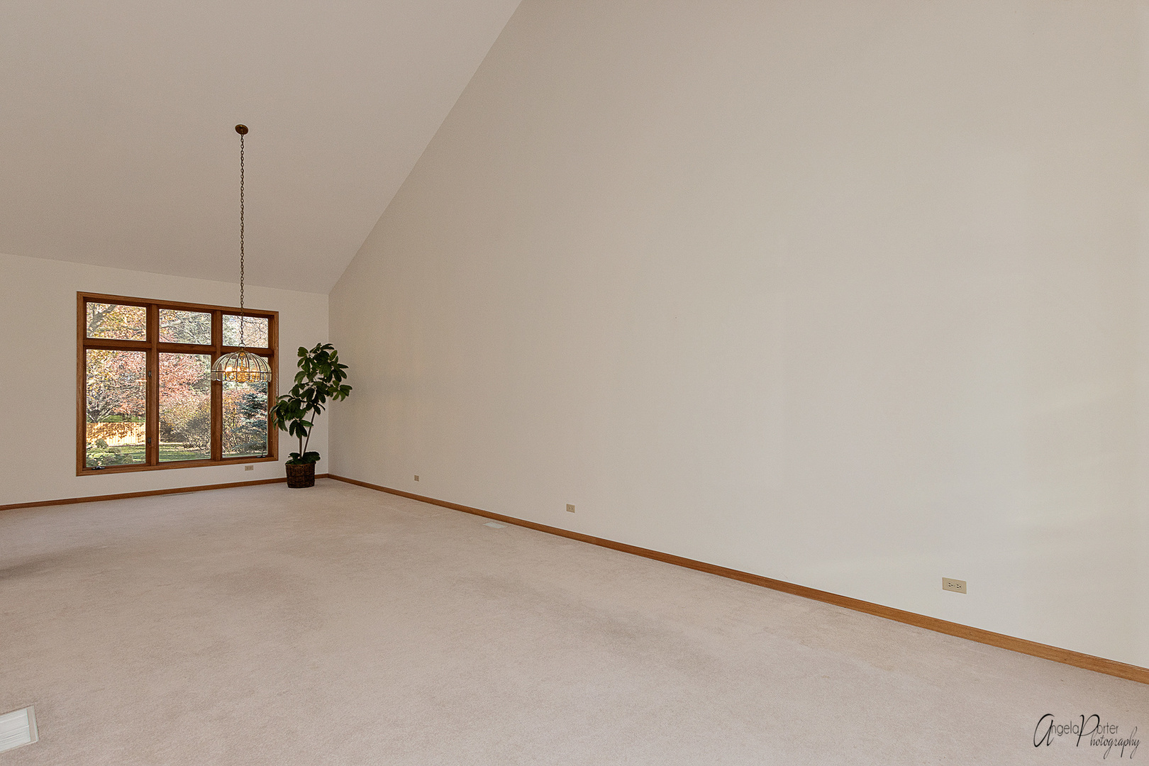 1716 Walnut Court Spring Grove, IL 60081 - Photo 4 of 55 a view of a room with window