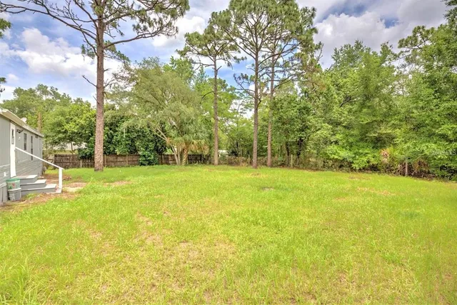 a view of a park with large trees