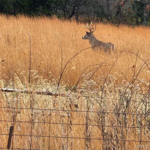 $349,900 | 0 Highway O Road, Cuba, MO 65453