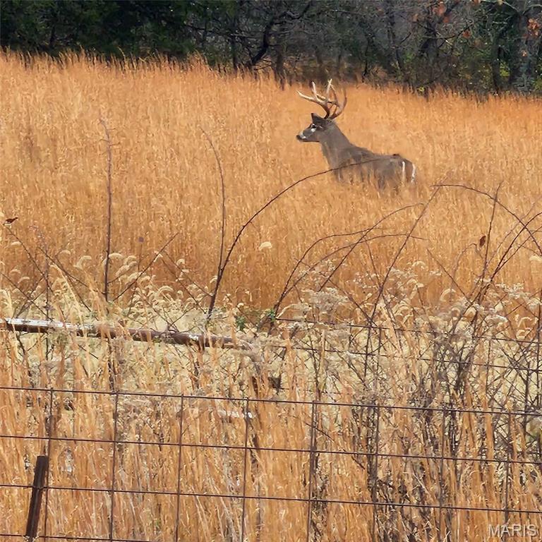 0 Highway O Road Cuba, MO 65453 - Photo 15 of 15