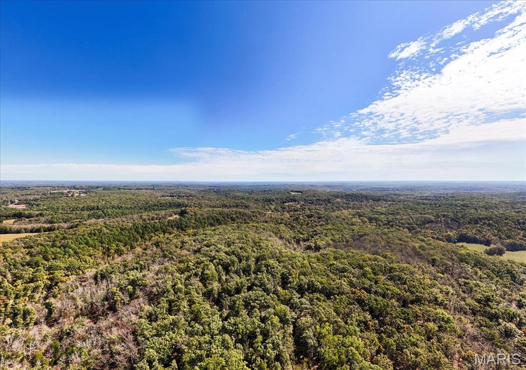 0 Highway O Road Cuba, MO 65453 - Photo 3 of 15