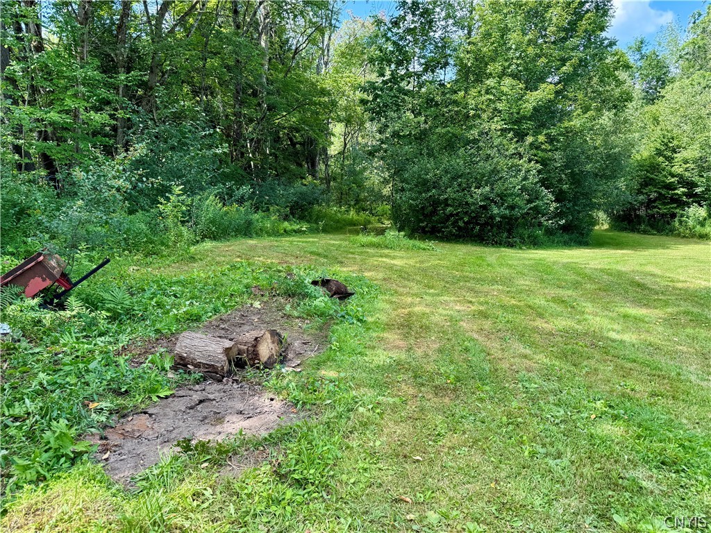 249 South Albion Road Altmar, NY 13302 - Photo 6 of 20 Gallery Image 6