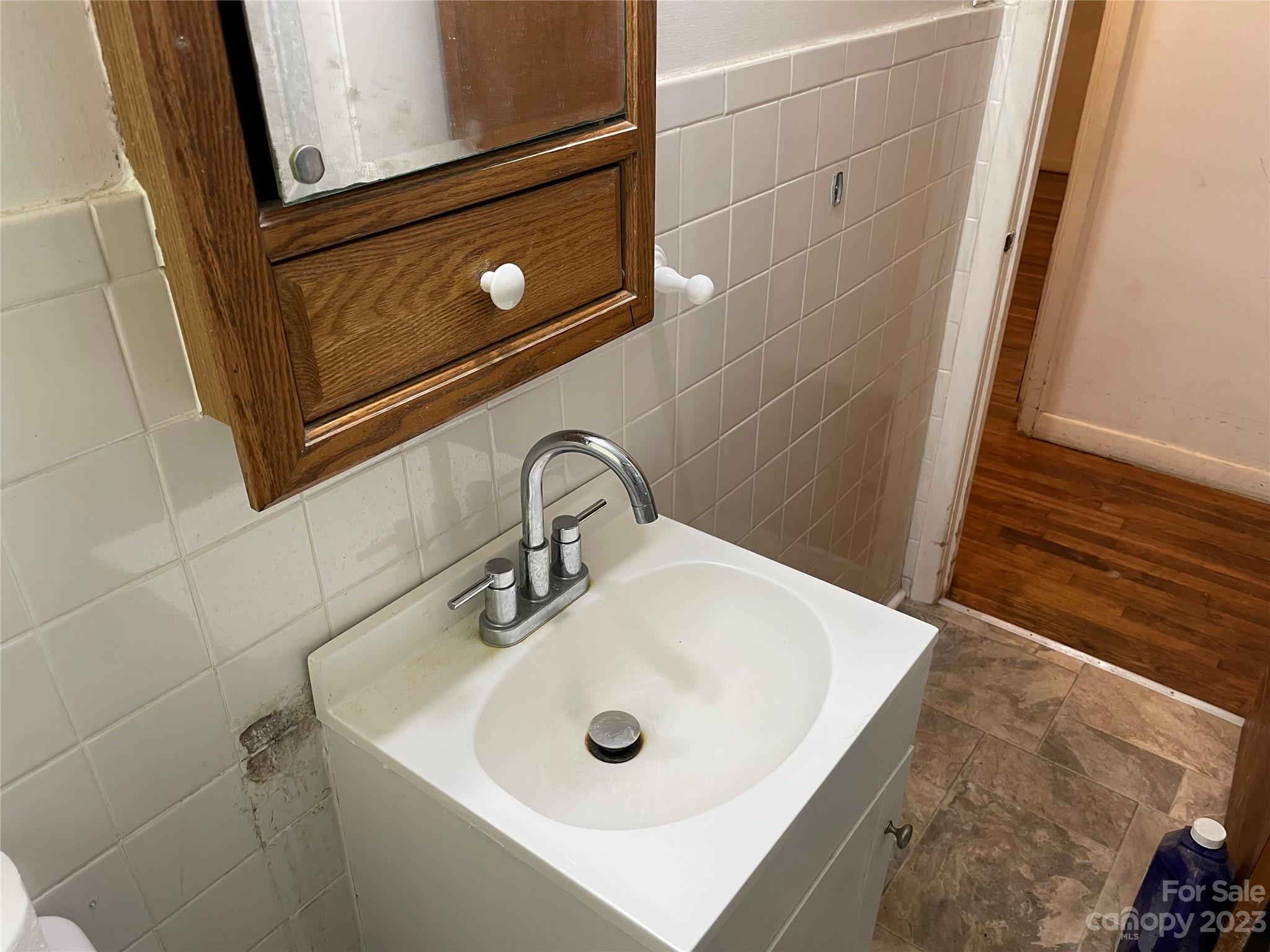 1125 Dunlap Roddey Road Rock Hill, SC 29730 - Photo 18 of 28 a bathroom with a sink and a mirror