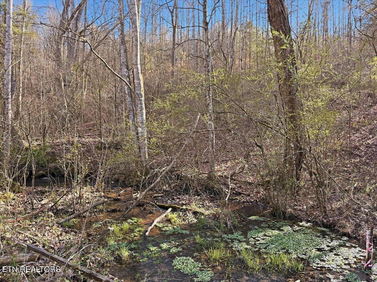 180 Hill Road Heiskell, TN 37754 - Photo 12 of 18 18-009_IMG_2026