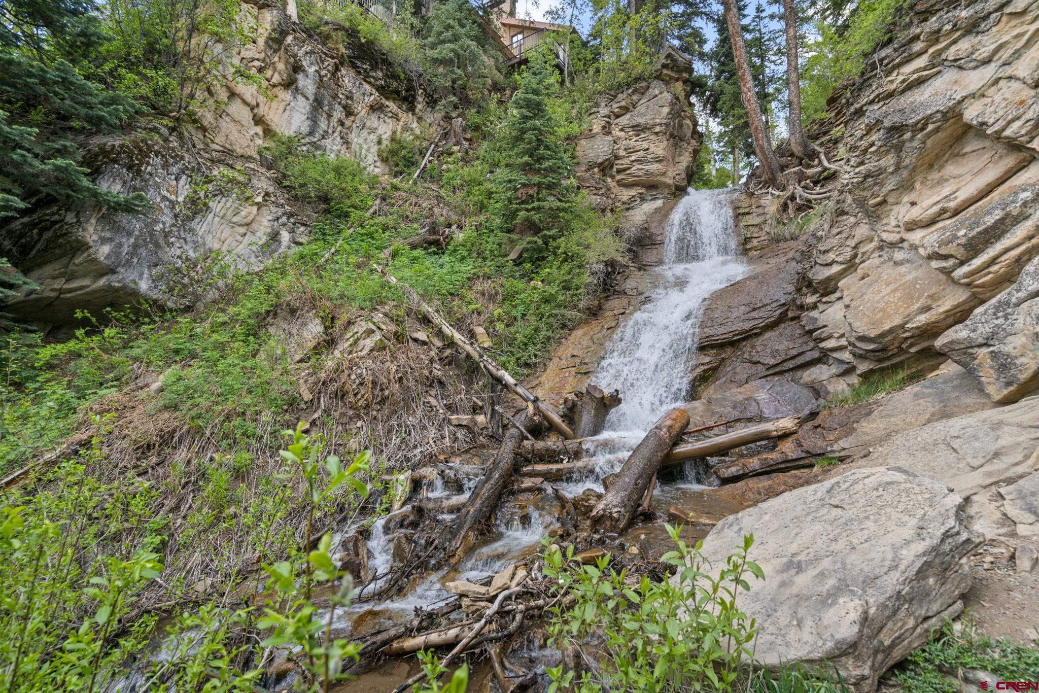 455 Sheol Street, Unit 109 Durango, CO 81301 - Photo 30 of 31 a picture of plants