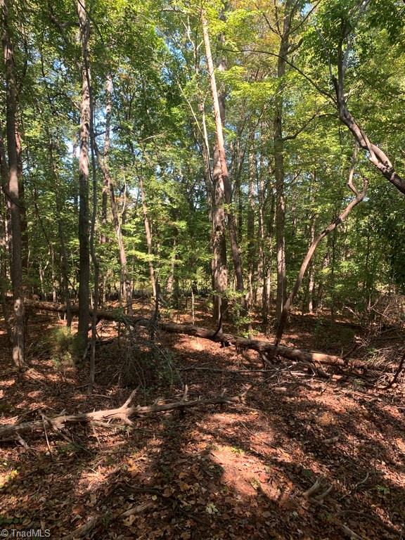 527 Thomas Road Lexington, NC 27295 - Photo 9 of 11 Gallery Image 9