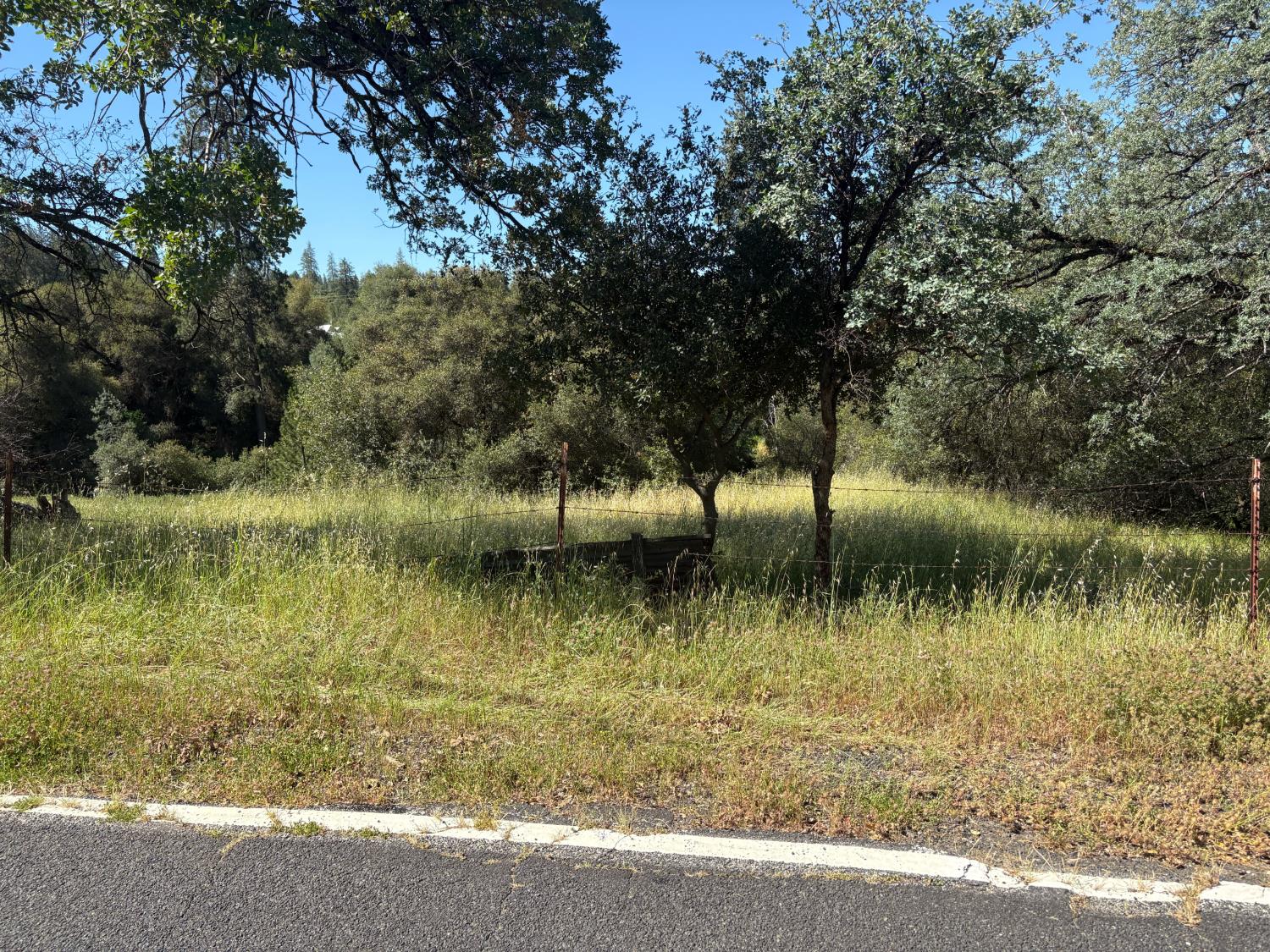 0 Sheep Ranch Road Mountain Ranch, CA 95246 - Photo 7 of 17