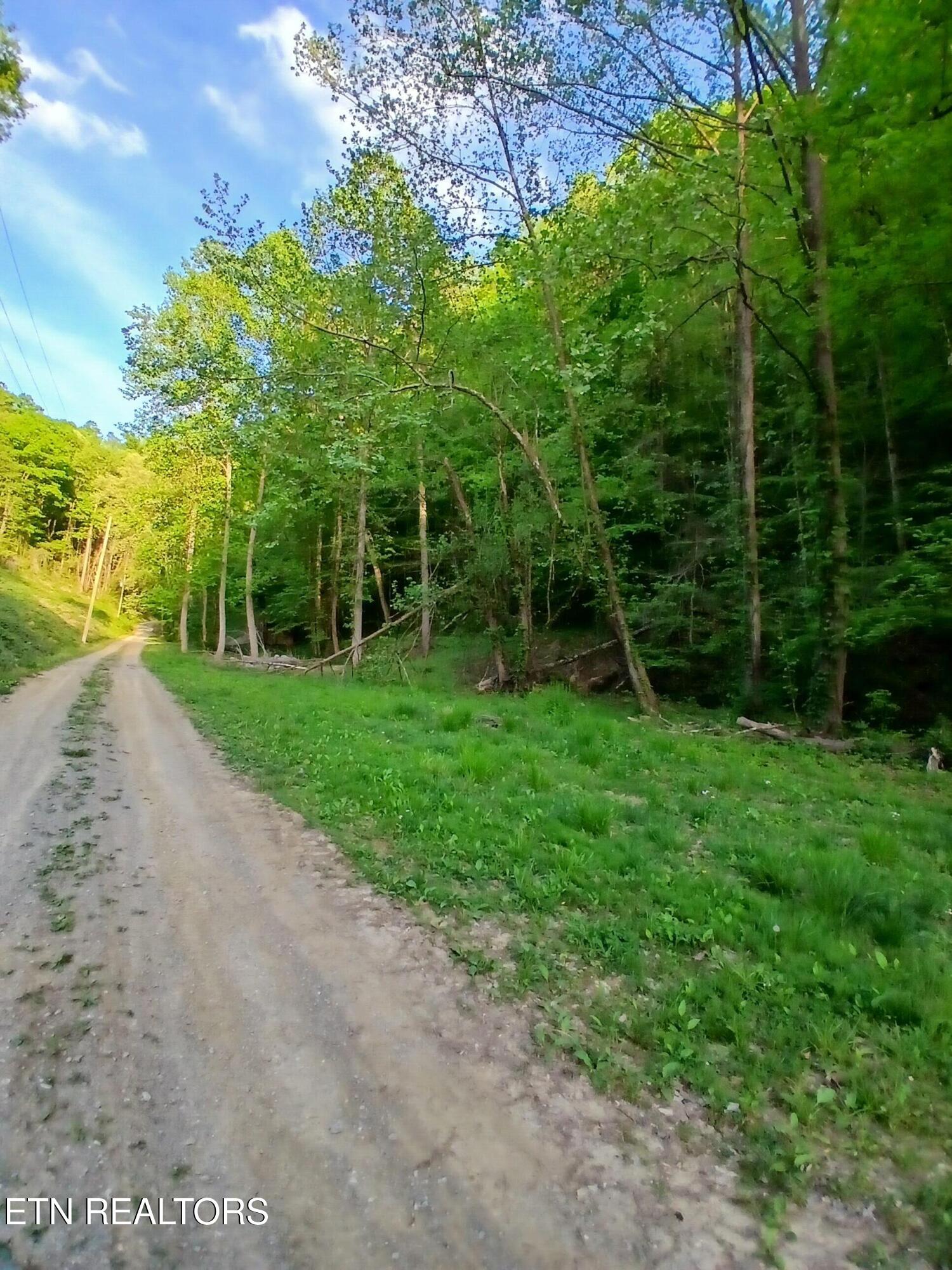 469 Brownlo Road Sneedville, TN 37869 - Photo 45 of 58 20260427_192249