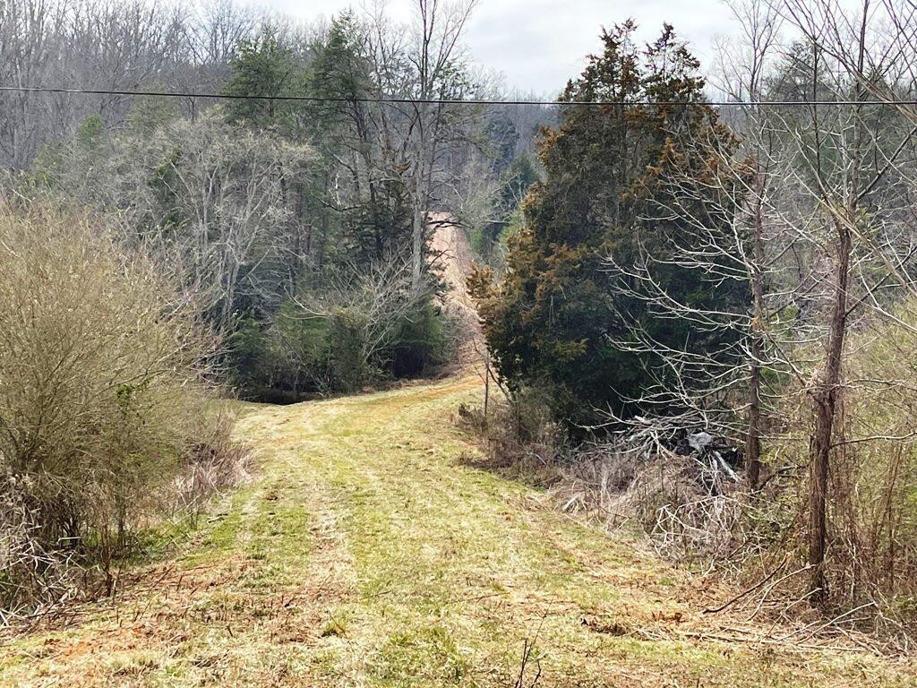 0 JD Farm Road Tellico Plains, TN 37385 - Photo 11 of 11