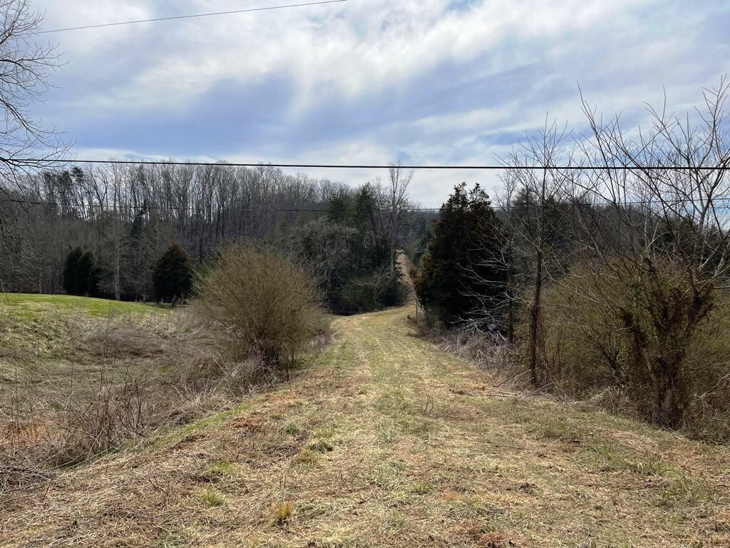 0 JD Farm Road Tellico Plains, TN 37385 - Photo 2 of 11