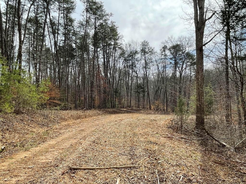 0 JD Farm Road Tellico Plains, TN 37385 - Photo 5 of 11