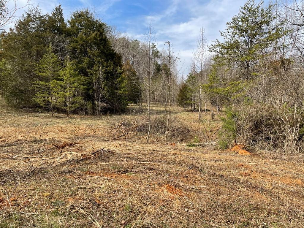0 JD Farm Road Tellico Plains, TN 37385 - Photo 6 of 11