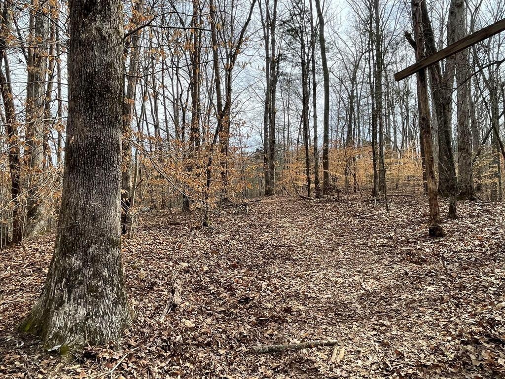 0 JD Farm Road Tellico Plains, TN 37385 - Photo 8 of 11