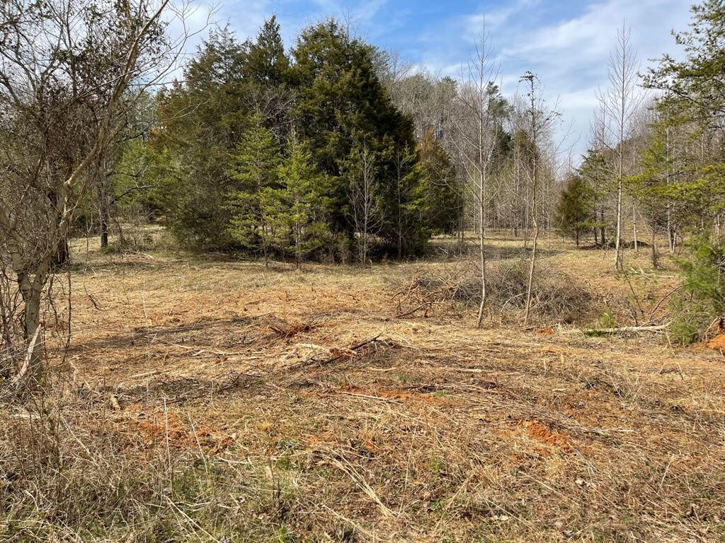 0 JD Farm Road Tellico Plains, TN 37385 - Photo 9 of 11
