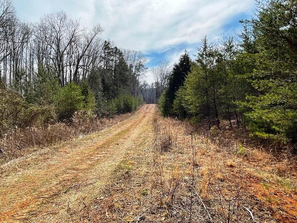 0 JD Farm Road Tellico Plains, TN 37385 - Photo 10 of 11