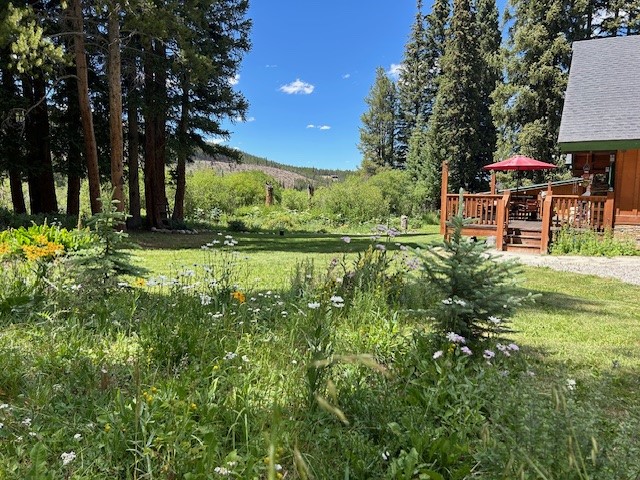 353 Blue River Road Blue River, CO 80424 - Photo 3 of 48 a backyard of a house with table and chairs and a large tree